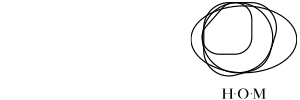 HOM MIRRORS Brand Logo
